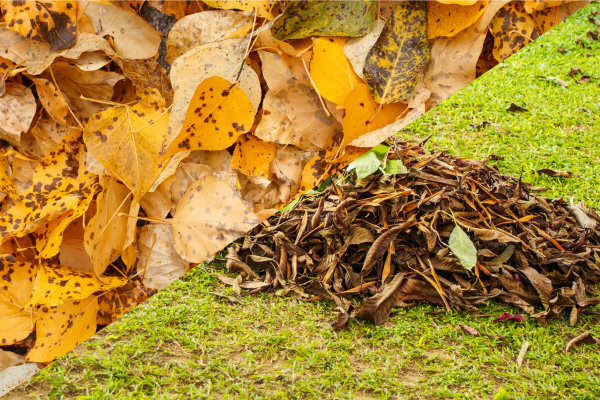 Gartenabfall Gartenabfall