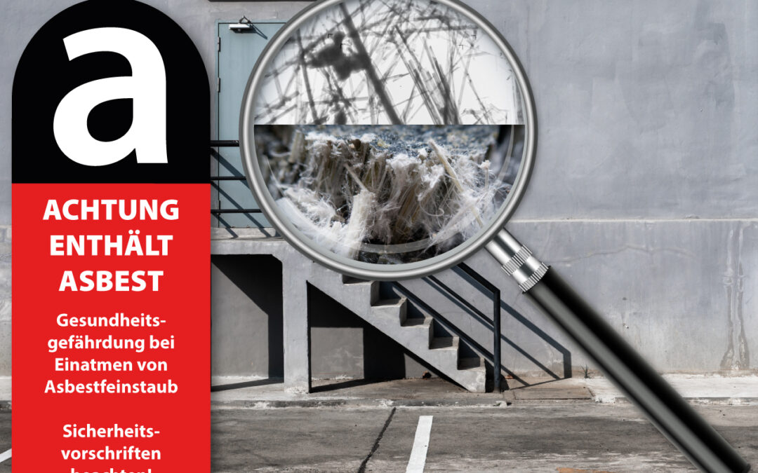 Erweiterung der Leistung: Zerlegebetrieb inkl. Schwarzbereich