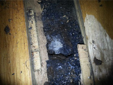 Parkett_mit_teerhaltigem_Kleber Parkett mit teerhaltigen Klebeanhaftungen