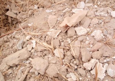 Bauschutt mit Auffälligkeiten