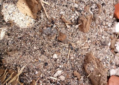 Bauschutt mit Auffälligkeiten