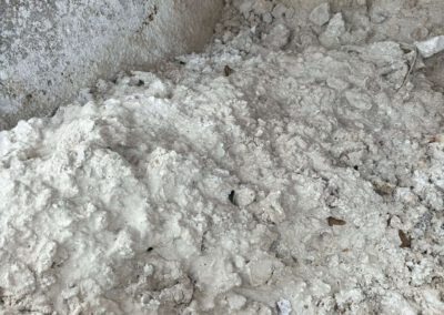 Bauschutt mit Auffälligkeiten